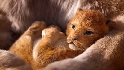 Prepárate, las primeras reacciones de 'El rey león' aseguran que emociona desde la primera escena 
