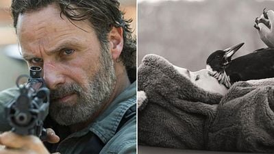 Andrew Lincoln obtiene su primer gran papel tras serie Rick en 'The Walking Dead' noticias imagen