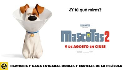 Sorteamos entradas y posters de 'Mascotas 2'  noticias imagen