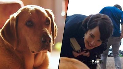 'Downton Abbey': El perro de los Crawley se convierte en un 'espía' en el rodaje en este vídeo en EXCLUSIVA 