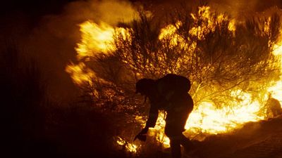 Oliver Laxe ('Lo que arde'): "Al filmar el fuego tuvimos la sensación de estar viendo imágenes jamás capturadas antes” noticias imagen