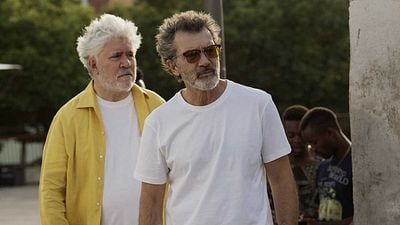 'Dolor y gloria', de Pedro Almodóvar, copa las nominaciones a los European Film Awards 2019  noticias imagen