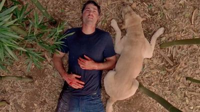 'Perdidos': 9 detalles sobre el final de 'Lost' que te sorprenderán ahora que está completa en Star (Disney+)