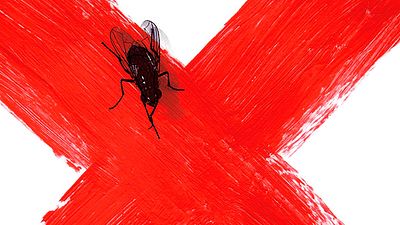 'La Novia Gitana': Paco Cabezas dirigirá la serie basada en la novela de Carmen Mola noticias imagen