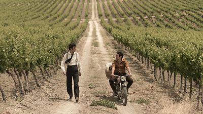 'El verano que vivimos': Por qué Jerez de la Frontera se convirtió en el escenario de la película noticias imagen