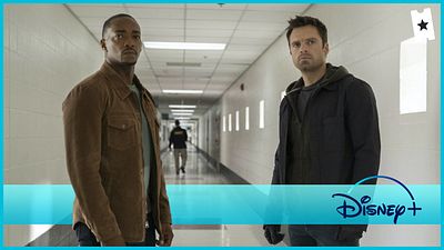 Anthony Mackie de 'Falcon y el Soldado de Invierno': "Mi mayor miedo era que no fuésemos capaces de hacer lo mismo que en las películas" noticias imagen