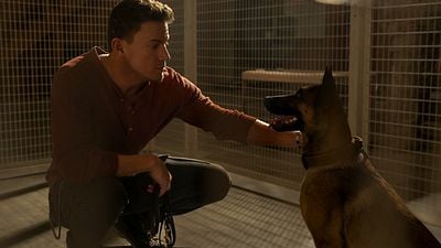'Dog', un homenaje a Lulu: Channing Tatum se inspiró en el último viaje con su perra para su debut como director noticias imagen