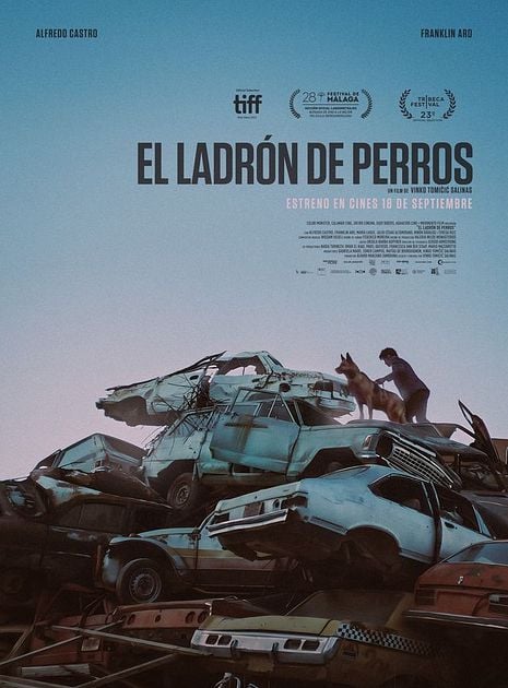 El ladrón de perros