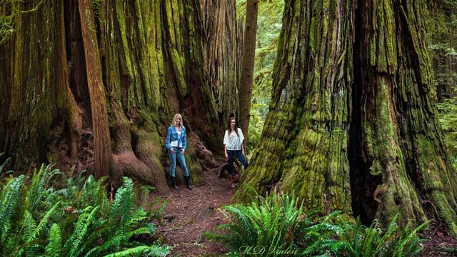 Este mapa te permite ver de un vistazo dónde se rodaron los lugares ficticios que hemos visto en las películas noticias imagen