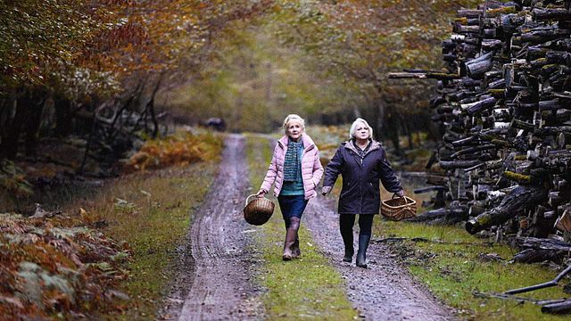 "Podemos ver lo horrible que puede ser la vida en familia": uno de los directores europeos más interesantes estrena nueva película noticias imagen