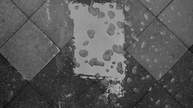 Está en Netflix, ganó 3 premios Oscar y marcó un antes y un después en la industria del cine noticias imagen