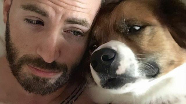 "Me presenté como un gilipollas y me dieron papeles de gilipollas": Chris Evans no tiene ningún interés en ser una gran estrella de cine y prefiere mirar los árboles