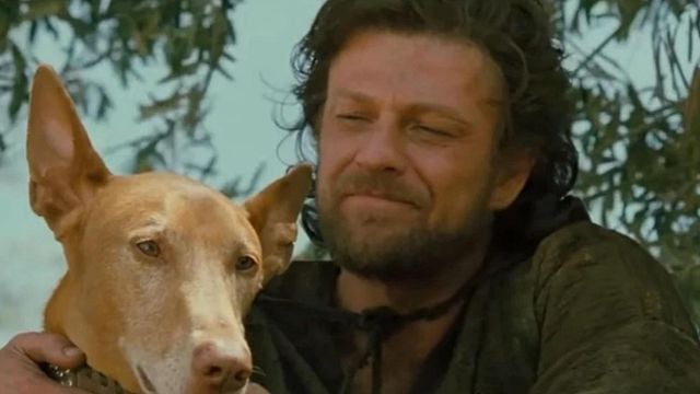 Esta escena de 'Troya' solo aparece en su versión extendida, pero si sabes algo de la Grecia clásica te emocionará noticias imagen