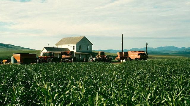 Es una de las mejores películas de ciencia ficción de todos los tiempos: el director odia tanto el CGI que plantó 200 hectáreas de maíz noticias imagen