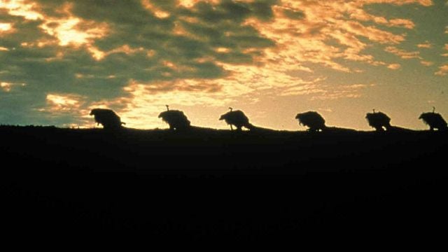 El estudio le pidió cambios a esta mítica película de fantasía y no se fio de que la fueran a estrenar: acabó pagando el estreno de su propio bolsillo noticias imagen