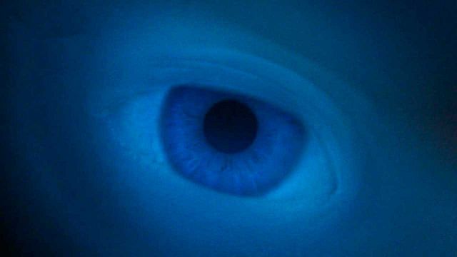 "Clavada en la butaca del cine durante casi 3 horas": puntuada con 4,3 sobre 5, así es la mejor película de ciencia ficción de 2024 noticias imagen