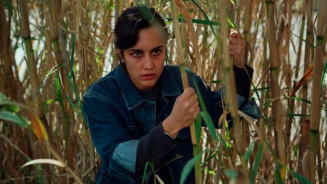 Solo Netflix puede salvar la temporada 4 de 'La Caza': mientras RTVE zarandeaba 'Guadiana', la serie ha triunfado en 'streaming' noticias imagen