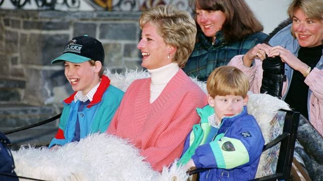 Los príncipes Guillermo y Harry fueron a Disneyworld cuando eran pequeños e hicieron cola como todo el mundo noticias imagen