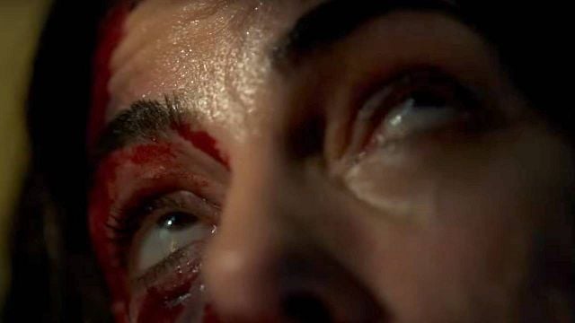 "¿Da miedo? Joder, sí. Especialmente si odias las arañas": Cuidado, aracnofóbicos, se estrena vuestra nueva pesadilla noticias imagen