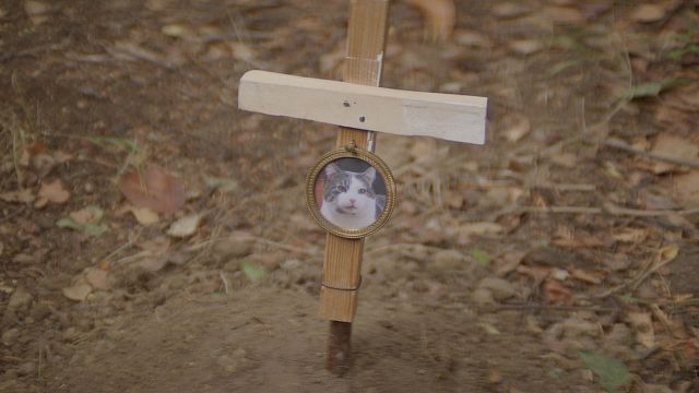 Vuelve el director que encerró a una mosca gigante en el maletero de un coche con su nueva y loca película: descubre 'Increíble pero cierto' en un clip en exclusiva noticias imagen