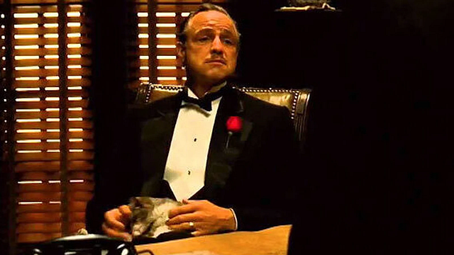 Un gato se coló en un set de rodaje: no le echaron, sino que terminó en una de las escenas más míticas del cine noticias imagen