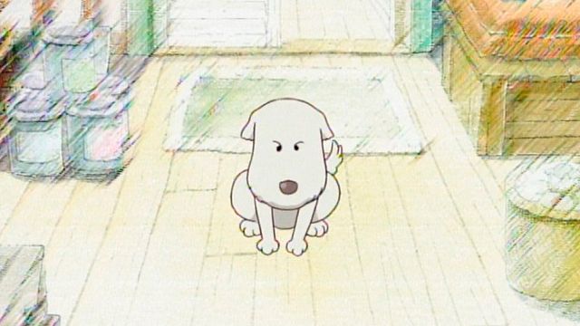 Esta es la razón por la que 'One Piece' de Netflix tuvo que dejar de lado la historia a lo 'Hachiko' del anime: “Teníamos una historia de Shushu devastadora” noticias imagen