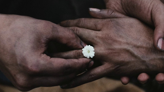 La mejor película de la semana nos vendió el evento romántico del año y luego nos sorprendió por dónde menos lo esperábamos noticias imagen