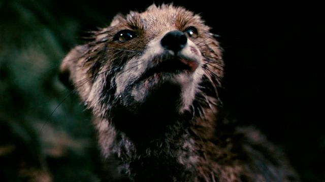 Un juzgado prohibió esta película por sus "escenas de gran violencia y sexo no simulado": 7 años después volvieron a la decisión original noticias imagen