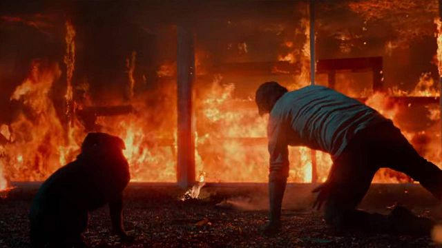 Nadie daba un duro por ella, pero es una de las sagas de acción más taquilleras: Sus cuatro entregas suman más de mil millones de dólares noticias imagen