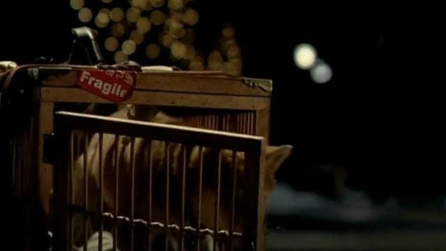 Hoy en TV: posiblemente la película que ha hecho llorar a más personas de la historia del cine noticias imagen