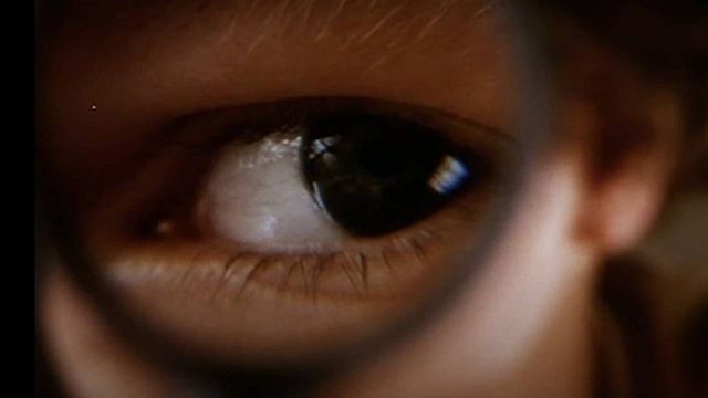 Esta película es una de las grandes joyas escondidas de la fantasía de los 90: la crítica la amó, pero se hundió en taquilla noticias imagen