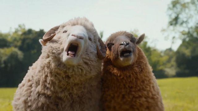 'Las ovejas detectives' requiere un final explicado: cómo el guionista de 'The last of us' y 'Chernobyl' nos ha vuelto a emocionar una vez más noticias imagen
