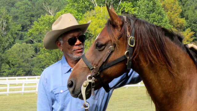 Morgan Freeman tenía 50 hectáreas de terreno y decidió emplearlas para salvar el medio ambiente: transformó un rancho en un santuario noticias imagen