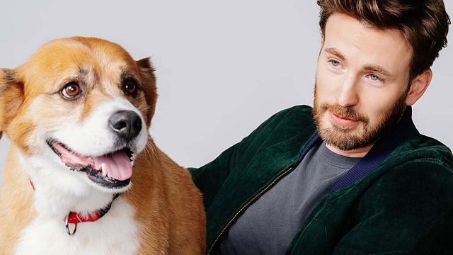 "Había algo que no era sano": Chris Evans salió huyendo de Hollywood tras arrasar como Capitán América noticias imagen