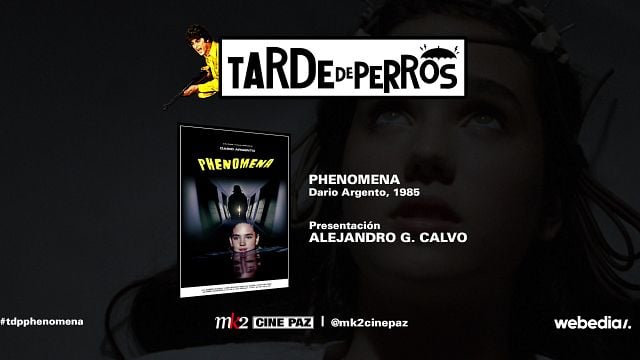 Te invitamos a ver 'Phenomena', de Dario Argento, en el cine: Sorteamos 50 entradas dobles para un pase especial en Madrid noticias imagen