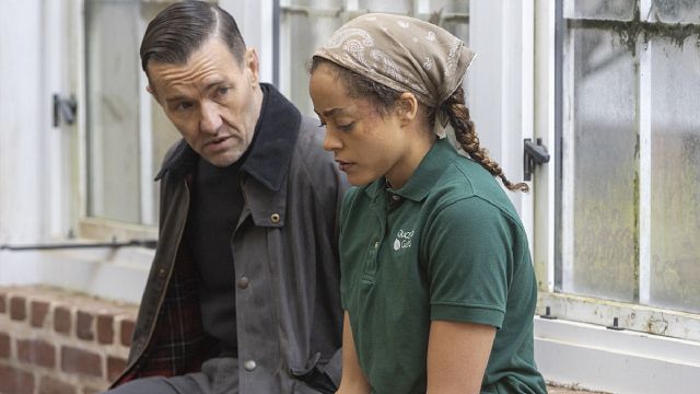 Llega a los cines la nueva película del guionista de 'Taxi Driver': Descubre 'El maestro jardinero' con el tráiler en exclusiva noticias imagen