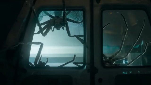 No apto para aracnofóbicos: la película que triunfó en Sitges llega a cines noticias imagen