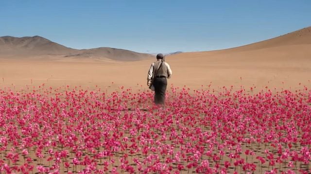 Mañana llega a Prime Video la adaptación de un libro que ha vendido millones de ejemplares y se ha traducido a 40 idiomas noticias imagen