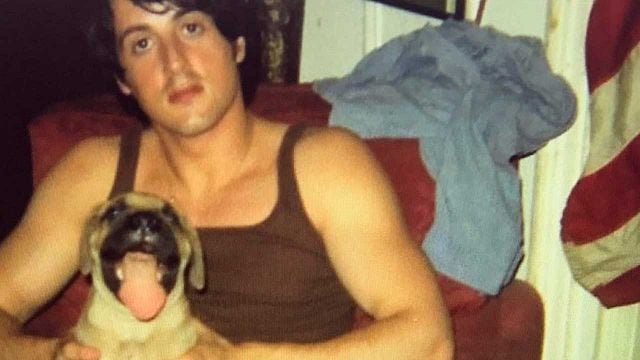 "Valía cada centavo": Sylvester Stallone vendió a su querido perro por 40 dólares porque no tenía dinero. Una semana después, pagó 15.000 para recuperarlo noticias imagen