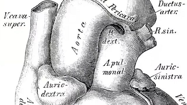 Hace dos años que terminó una de las mejores series de médicos de los últimos años: ahora su creador y protagonista trabajan en un nuevo proyecto noticias imagen