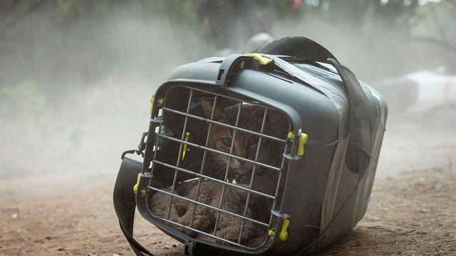 El fenómeno de ciencia ficción español de Prime Video volverá dos años después: su primera película secuela será realidad en 2026 noticias imagen