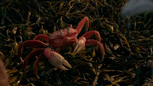 Es una de las escenas más míticas y divertidas de 'La Sirenita', pero era necesario prescindir de ella en la película de acción real noticias imagen