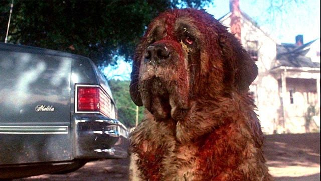 Hace 42 años Stephen King agradeció que cambiaran el final de una de sus obras: "Nunca había recibido tantos mensajes de odio" noticias imagen