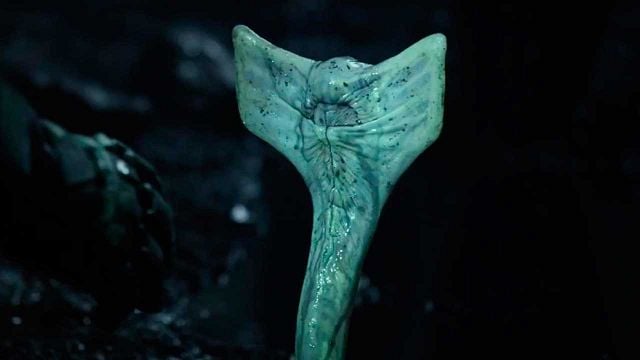 Hoy en TV, la película que resucitó una de las mejores sagas de ciencia ficción de la historia 15 años después y recaudó casi 400 millones noticias imagen