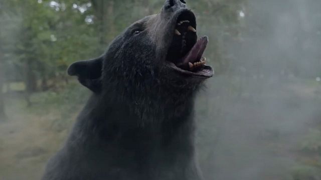 Sí, la historia del oso que consumió cocaína ocurrió de verdad y ahora tiene película (pero esperamos que hayan cambiado su triste final) noticias imagen
