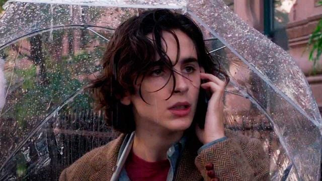 "Un buen papel no es el único criterio para aceptar un trabajo": Timothée Chalamet se arrepintió tanto de trabajar en esta película que donó todo su sueldo noticias imagen
