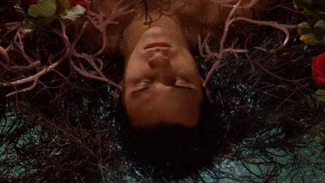 Ya había tirado la toalla con el regreso de esta serie cancelada de Netflix, pero su equipo vuelve a darme esperanzas: “Siento que lo haremos” noticias imagen