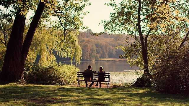 Netflix renueva su serie estrella entre cancelaciones injustas: No es la mejor, pero su público es el más fiel noticias imagen