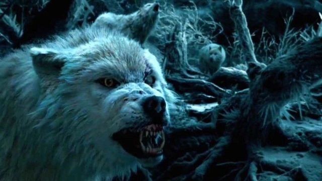 Hoy en Disney+: una de las grandes epopeyas de fantasía con Emma Watson que nada tiene que ver con 'Harry Potter' noticias imagen