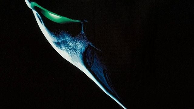 Hace 11 años se anunció la nueva versión de una de las peores películas de superhéroes, pero aún no sabemos nada: "No busco al mismo público que Marvel y DC" noticias imagen